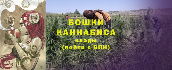 мдма Новозыбков