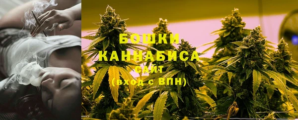 мдма Новозыбков