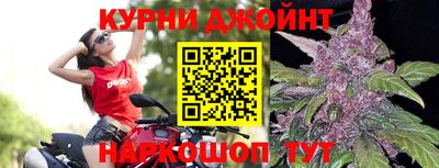 гидра Абинск